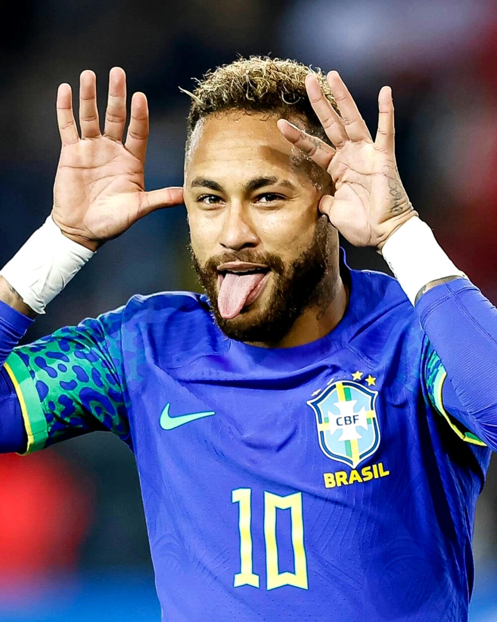 了澳大利亚 了澳大利亚